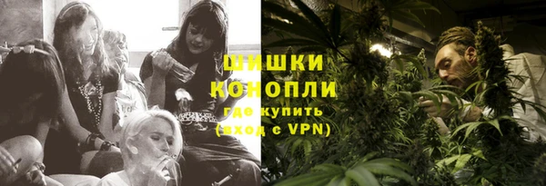 первитин Заводоуковск