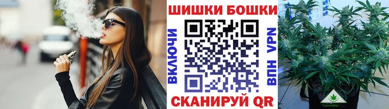 Бошки марихуана сатива  Купить закладки  Омутнинск 